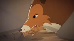 Lassie S02E24 Question d'honneur