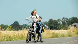 Lassie, La route de l'aventure