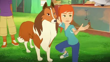 Lassie S02E25 Une brillante invention