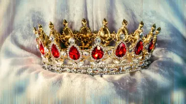 Monseigneur canin devient activiste climatique