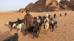 Lawrence d'Arabie, un rêve d'Orient