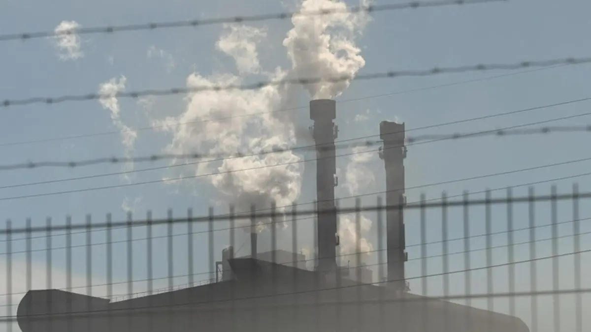 Visuel de LCP le mag Réchauffement climatique : réinventer la forêt