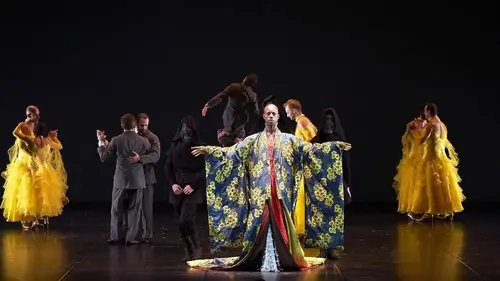 Le Ballet royal de la nuit