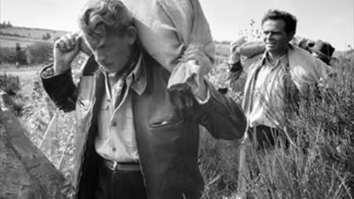 Le banquet des fraudeurs