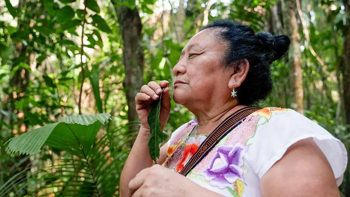 Le Belize, terre des Mayas