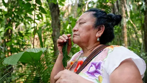 Casting Le Belize, terre des Mayas