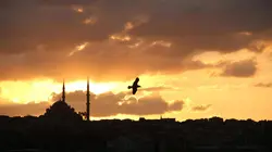 Le berceau des civilisations