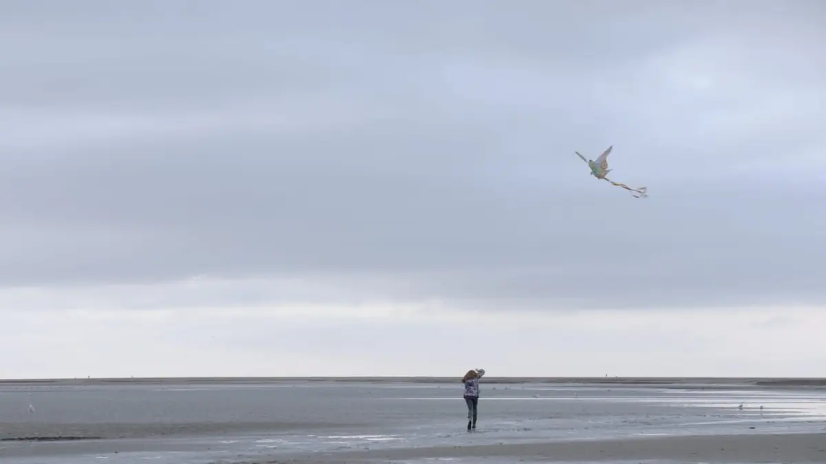 Le berger et les vacanciers