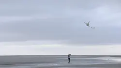 Le berger et les vacanciers