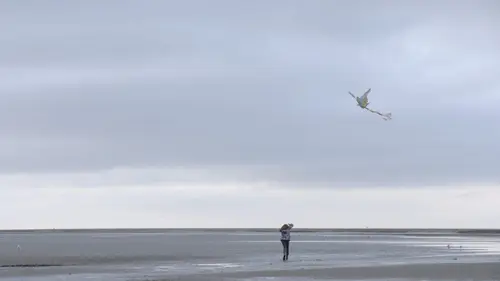 Le berger et les vacanciers