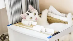 Le big bêtisier 100 % chats