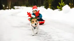 Le big bêtisier de Noël