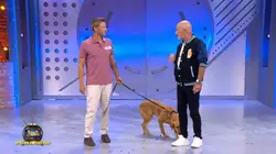 Le Bigdil, le retour évènement S02E14 Spéciale toutous