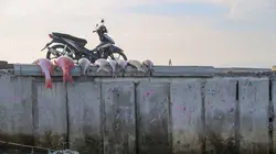 Le blues des océans