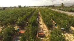 Le boum de la grenade !