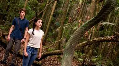 Bienvenue dans la jungle