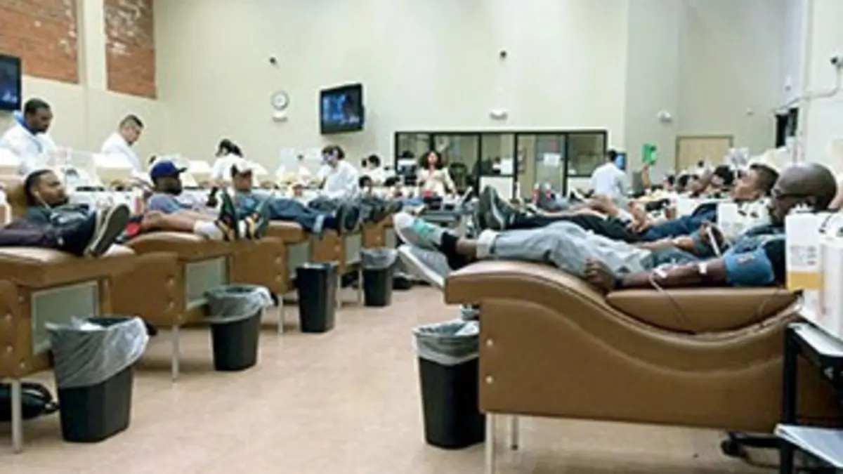 Audiences TV : Le business du sang