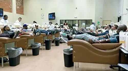 Audiences TV : Le business du sang