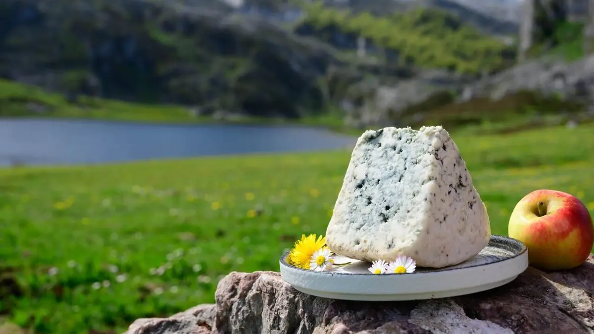 Le cabrales, un fromage espagnol en danger"