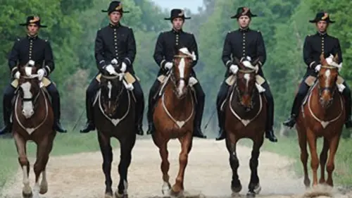 Le Cadre Noir en galas
