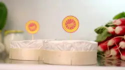 Le camembert nous ouvre sa boîte