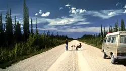 Le camping – Toute une histoire !