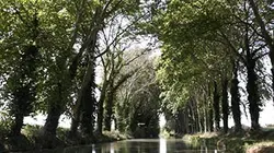 Visuel de Le canal envahi