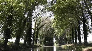 Le canal envahi