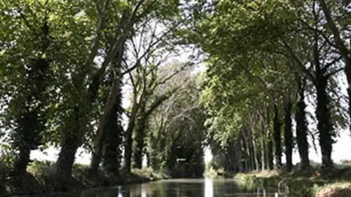 Le canal envahi