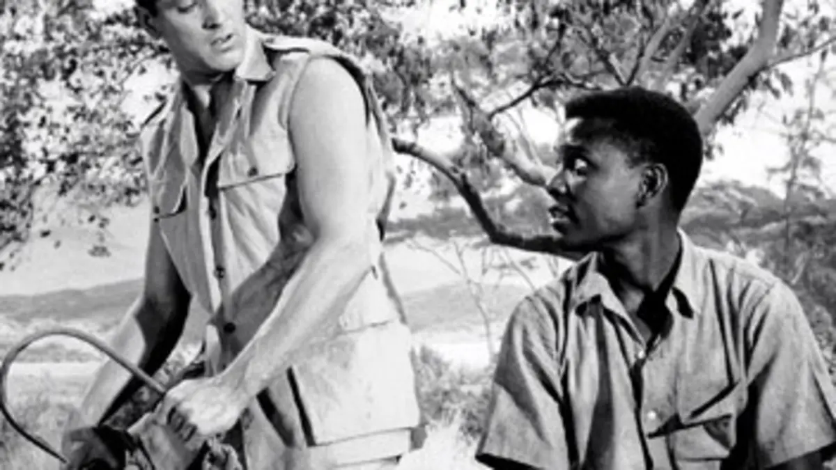 Le carnaval des dieux