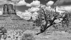 Le carrefour de la vengeance