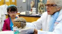 Le cerveau : mon histoire d'amour