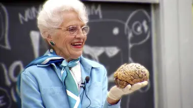 Le cerveau : mon histoire d'amour