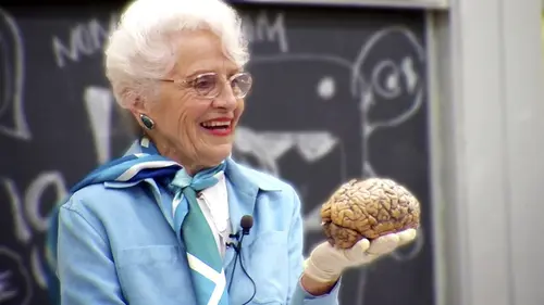 Le cerveau : mon histoire d'amour