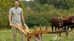 Visuel de Le chaînon manquant