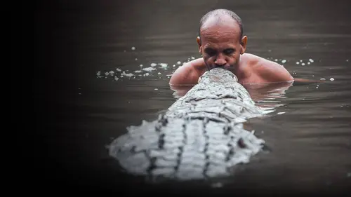 Le chaman et le crocodile