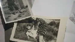 Visuel de Le Chambon-sur-Lignon. Un legs pour l'histoire