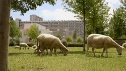 Sur France 5 à 20h50 : Le champ des possibles