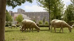 Le champ des possibles