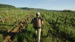 Le champ des possibles