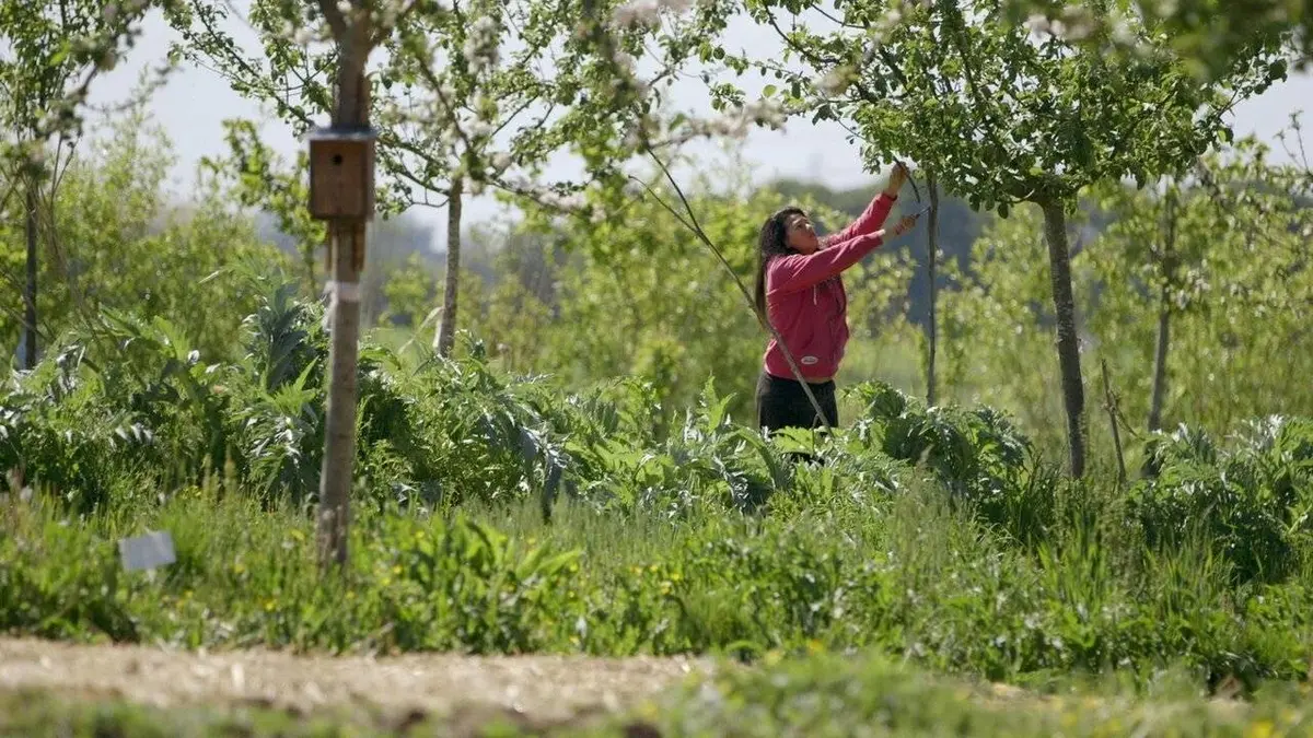 Le champ des possibles