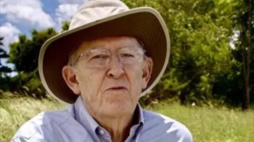 Le chant de la baleine