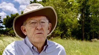 Le chant de la baleine