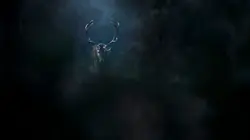 Le Chant des forêts