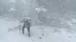 Le Chant des forêts
