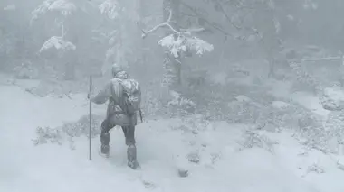 Le Chant des forêts