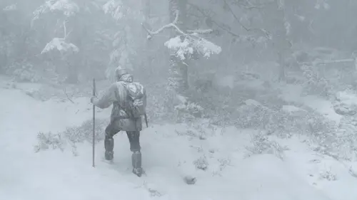 Le Chant des forêts