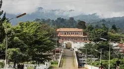 Visuel de Le chant des roças