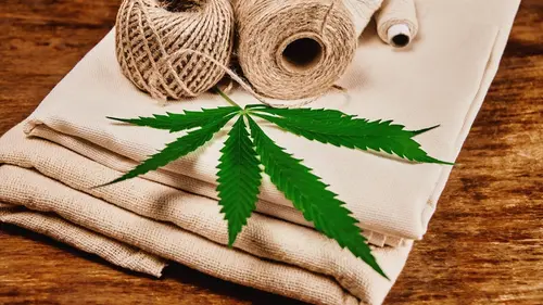 Le chanvre, cette fibre vertueuse