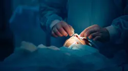 Le charter des enfants malades